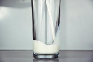 Виробництво молока знизилось через збитковість галузі — експерт