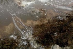 Екологічна катастрофа під Києвом