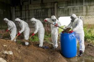 ФАО та Інтерпол боротимуться з незаконним обігом пестицидів в Україні
