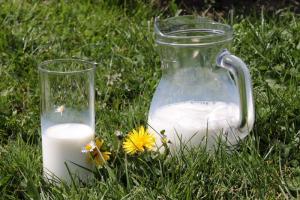 На Херсонщині закликають ввести державне регулювання вартості молока
