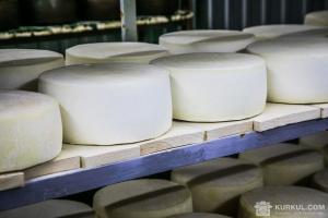Українські фермери виготовляють сир з віскі, чілі й трюфелів