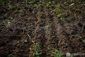 Насиченість українських полів в перерахунку на гній у 24 рази нижча за потрібну