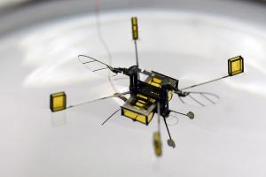Вчені НАСА обговорюють можливість відправити на Марс роботів-бджіл