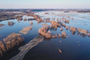 Розлив річки Псел, с. Могриця, Сумська область (весна 2018)