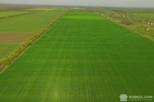 Харківщина завершує посів ранніх ярих зернових і зернобобових