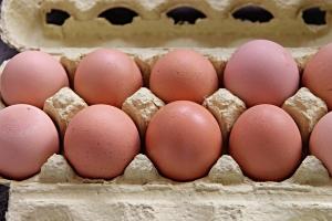 Україна стала головним постачальником яєць до країн ЄС