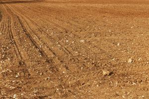 Мораторій на продаж землі шкодить українському сільському господарству