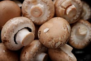 Польскі інвестори вирощуюють гриби на Черкащині