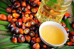 Заборона пальмової олії не має сенсу — думка