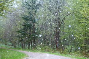 На Вінниччині літо розпочалося градом та снігом