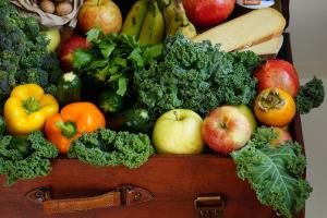 FreshBot дозволить моніторити ціни на овочі і фрукти в усьому світі