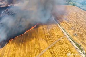 На Одещині невідомі підпалили пшеничне поле