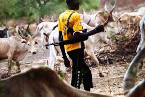 Під час кривавого конфлікту у Нігерії між пастухами та фермерами загинуло понад 80 осіб