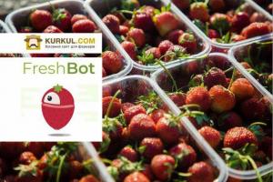 FreshBot і Kurkul.com: огляд цін на ягоди