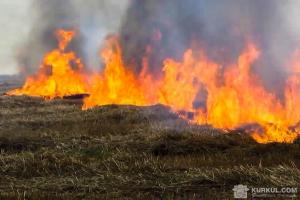 Пожежа на Одещині загубила урожій