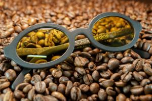 Українська компанія виготовила окуляри з льону та кави