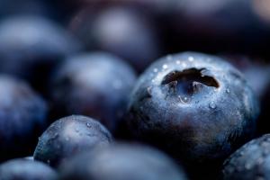 Гарячий тиждень для виробників лохини — огляд цін на плоди та ягоди