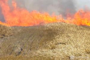 За кілька днів у двох областях України сталося три пожежі у полях