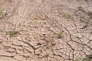 Єврокомісія відшкодує фермерам збитки від погодних аномалій