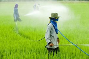Суд зобов'язав Monsanto виплатити $289 млн компенсації за гліфосат