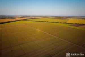 Україна неефективно використовує землі — НААН