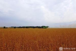 На Миколаївщині уклали 15 аграрних розписок