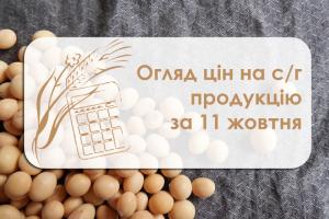 Зернові у порту Миколаївщини подорожчали — огляд ціна на с/г продукцію за 11 жовтня