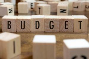 Бюджетний комітет розглянув «аграрні» правки до бюджету 2019 року