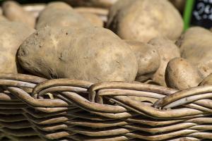 Урожайність картоплі у професійних господарствах у 1,5 рази перевищила показники населення  