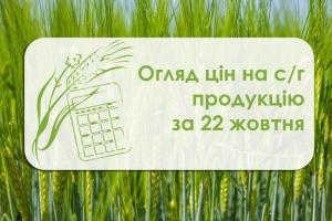 Вартість зернових знизилася — огляд цін на с/культури за 22 жовтня 