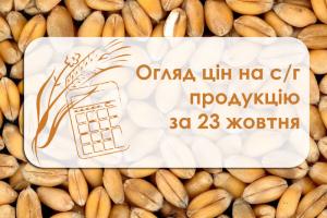 Вартість пшениці, соняшнику, ріпаку та інших — огляд цін на с/г культури за 23 жовтня 