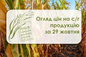 Зернові подешевшали — огляд цін на с/г продукцію за 29 жовтня 