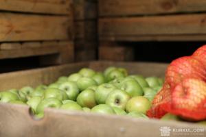 На гуртових ринках яблука подешевшали на 70%