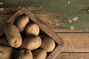 Експорт картоплі пізніх сортів зріс у 15 разів