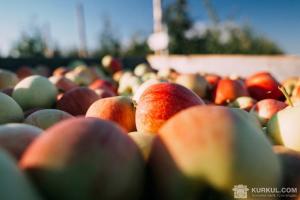 На Херсонщині відкрили фруктосховище для яблук