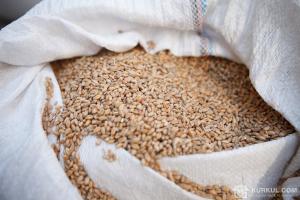 Україна перевищила минулорічні показники експорту зернових