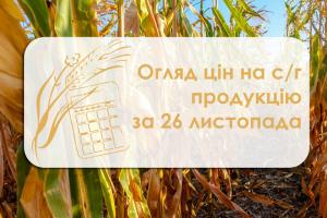 У порту Миколаївщини подешевшали зернові — огляд цін на с/г продукцію за 26 листопада