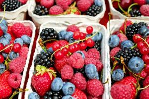 Україна знайшла заміну Росії в експорті фрукті та ягід