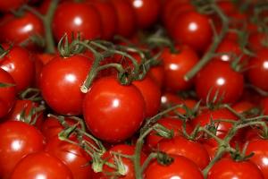 Херсонські помідори визнали у Канаді