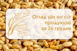 Пшениця та соняшник подорожчали — огляд цін на с/г продукцію за 26 грудня