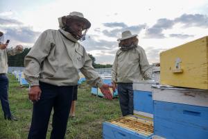 У березні пасічники зможуть страхувати бджіл
