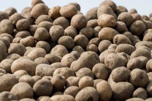 Негода провокує підвищення цін на картоплю