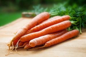 В Україні морква дешевшає другий тиждень поспіль