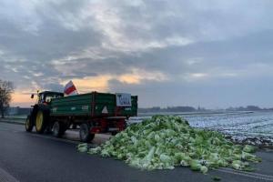 Польські фермери вийшли на мітинг проти імпорту української продукції
