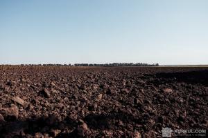Посли Великої сімки назвали земельну реформу однією з ключових для України