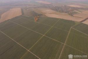 В Україні зміниться порядок проведення інвентаризації земель