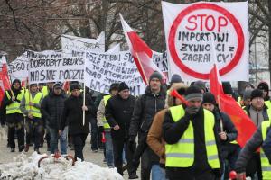 Фермери Польщі вийшли на центральні вулиці столиці з протестом