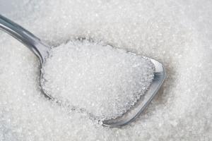 На Гнідавському цукрозаводі вперше виробили сертифікований органічний цукор