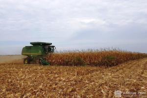 У Криму наполовину скоротилося виробництво зернових та соняшнику