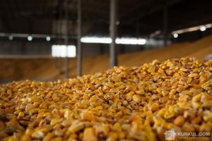 Україна експортує 1,5 млн т кукурудзи до Індії